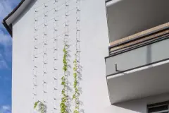 In the course of the energetic retrofit of its existing buildings in Mainzer Landstraße Frankfurt, Germany, the housing association greened the gable sides of each of four building blocks with Sto's external wall insulation and cable trellis for living green facades